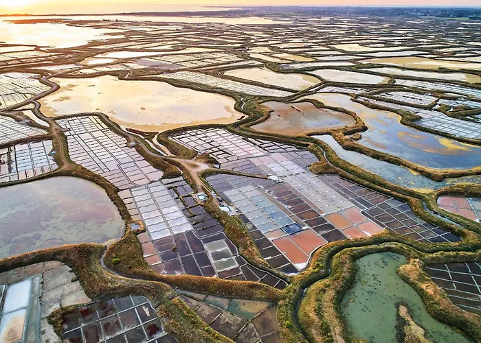 Surcouflepouliguen 60m2 Sur Le Port 4 Personnes 公寓 *